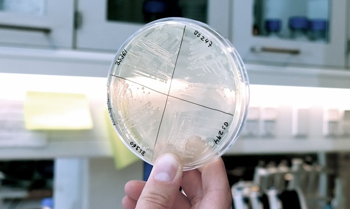 E. coli riboswitch