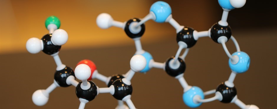 A research group at DTU Biosustain engineers environmental bacteria for bioproduction of new-to-Nature compounds using synthetic metabolism