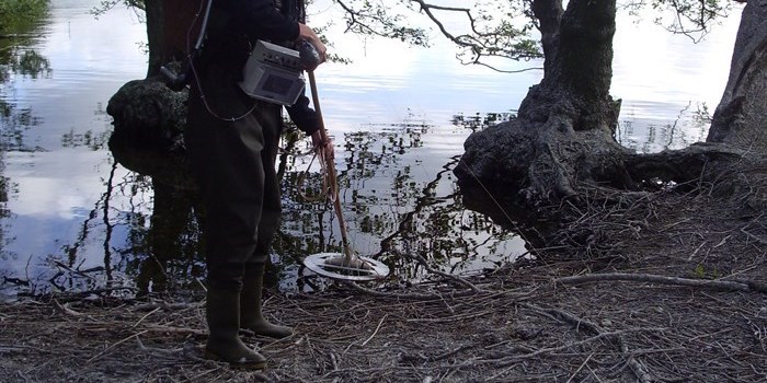 Searching the colony for tags. Photo: Mikkel Boel.