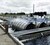 Freshwater recirculation aquaculture paved the way for saltwater recirculation technology. Foto Martin Dam Kristensen